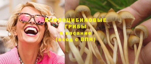 бутират Аркадак