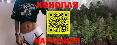 индика Гагарин