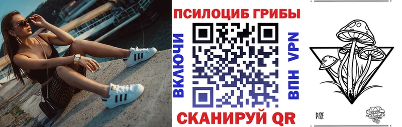 Псилоцибиновые грибы Cubensis ОМГ ОМГ как войти Междуреченск
