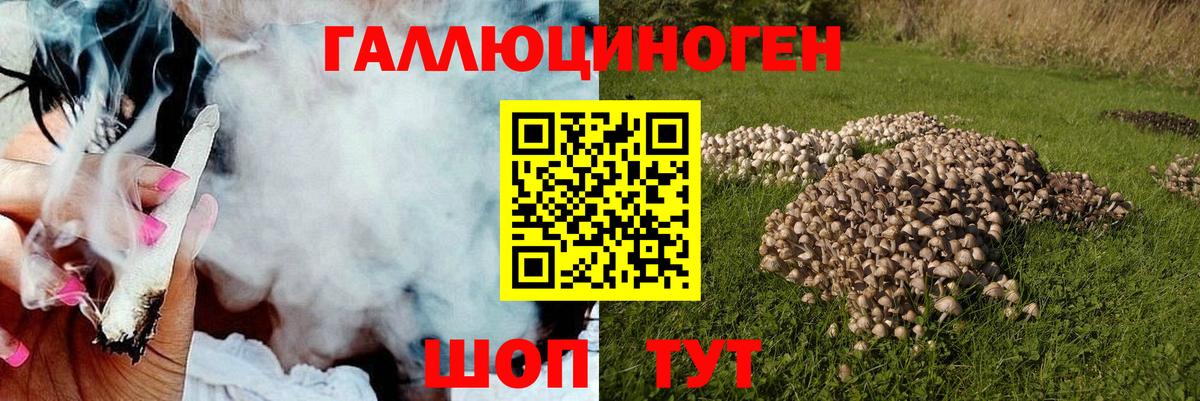 Галлюциногенные грибы Magic Shrooms Междуреченск