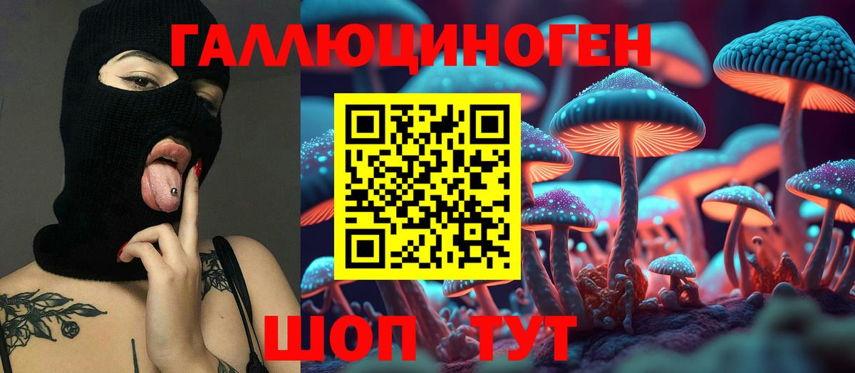 Псилоцибиновые грибы Psilocybine cubensis  Вход с VPN  цены наркотик  Галлюциногенные грибы прущие грибы  Междуреченск 