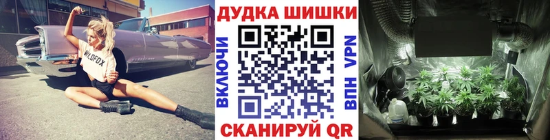 Шишки марихуана планчик  сколько стоит  Междуреченск 